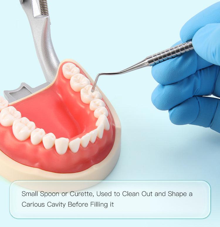 Dental Endo Spoon Excavators Stainless Steel Double Ended Instruments 1pc/Pack - azdentall.com Dental Endo Spoon Excavators Stainless Steel Double Ended Instruments 1pc/Pack - azdentall.com