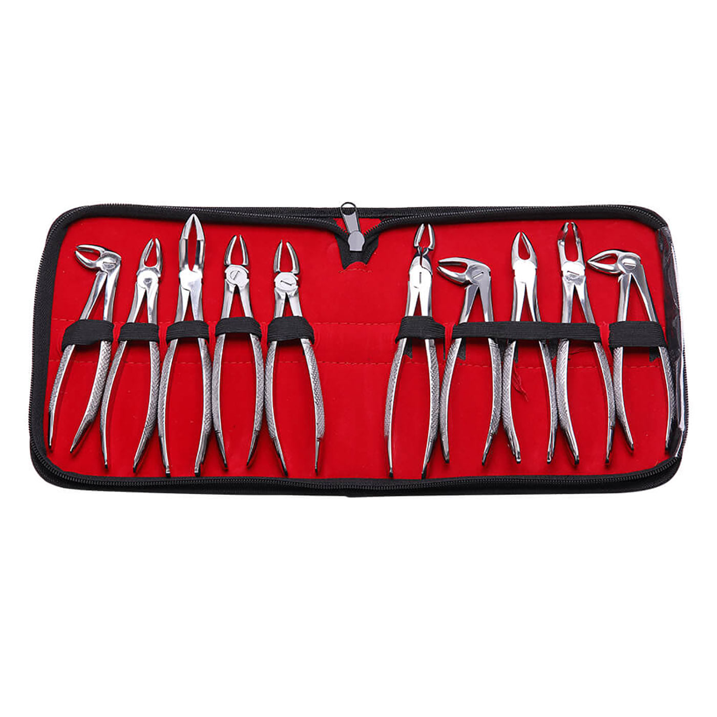 Dental Surgical Tooth Extraction Forceps Pliers for Adults 10pcs/Set - azdentall.com