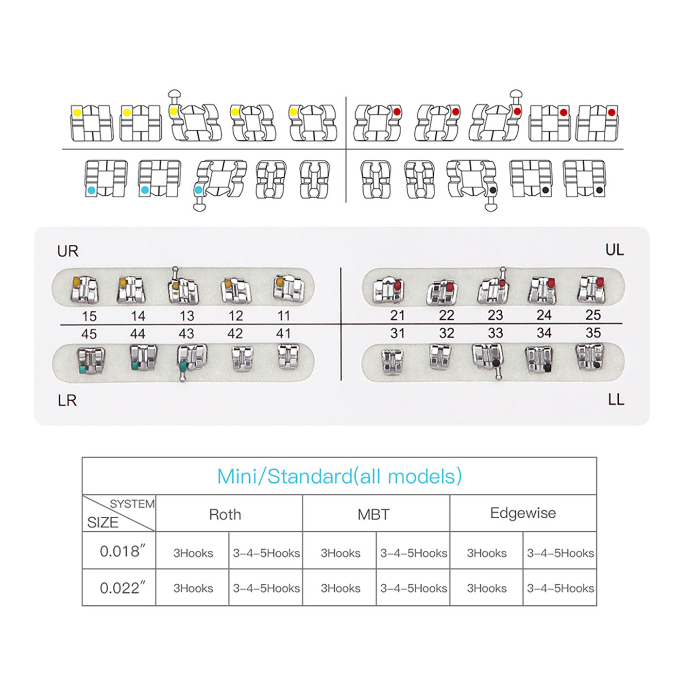 AZDENT Dental Metal Brackets Standard Roth Slot .018 Hooks on 3 20pcs/Pk - azdentall.com