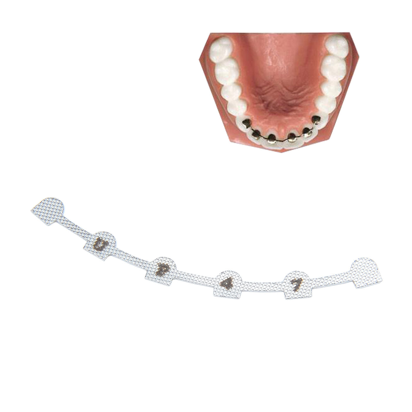 AZDENT Dental Lingual Retainer Bonding Splits U#38-47 & L#29-37 With Mark 10pcs/Bag - azdentall.com