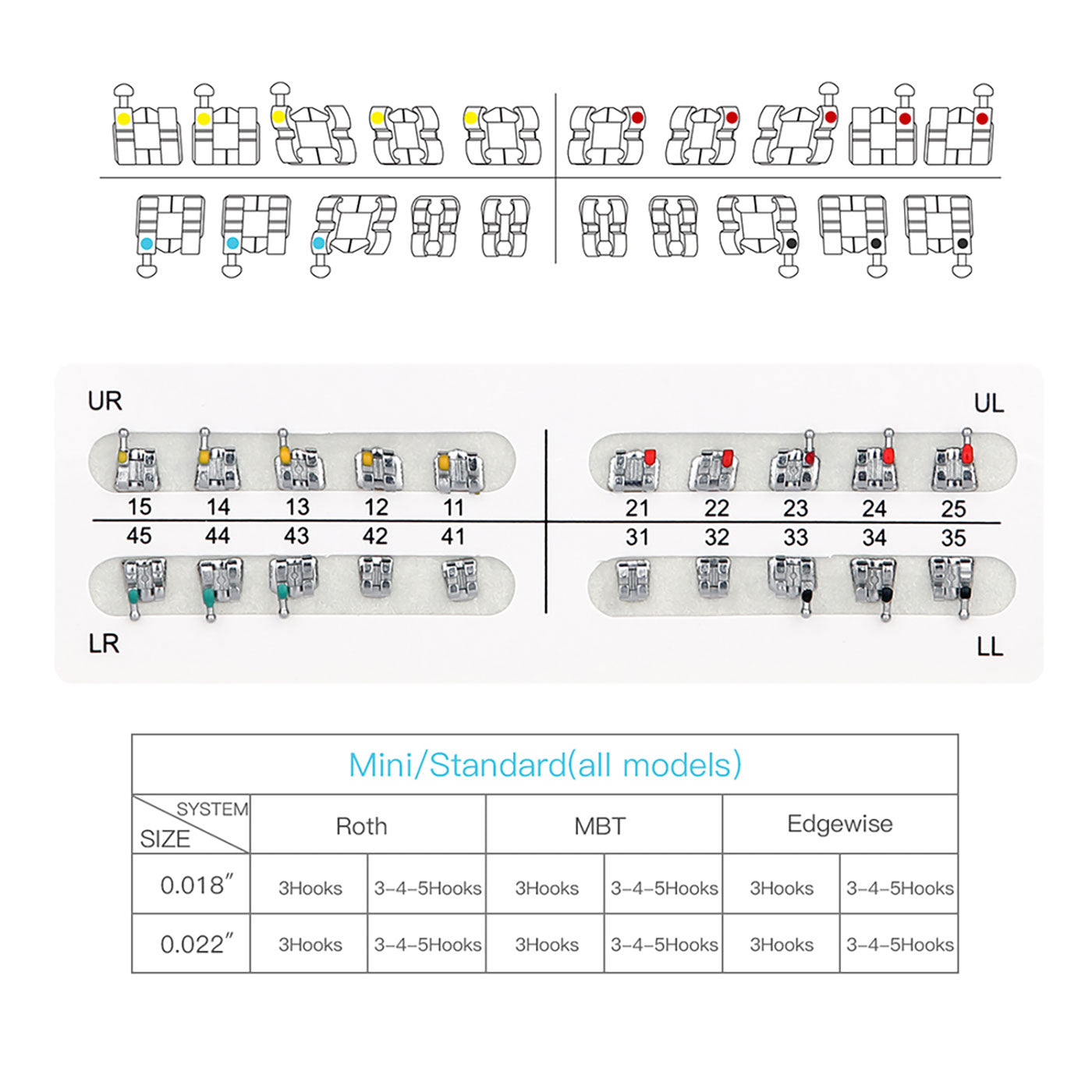 AZDENT Dental Metal Brackets Standard MBT Slot .022 Hooks on 345 20pcs/Pack - azdentall.com