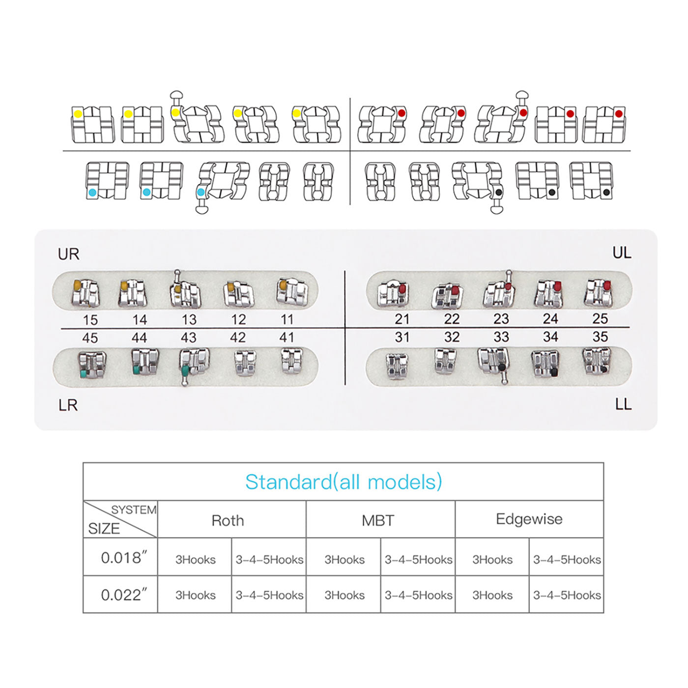 AZDENT Dental Metal Brackets Standard Roth Slot .018 Hooks on 3 20pcs/Pk - azdentall.com