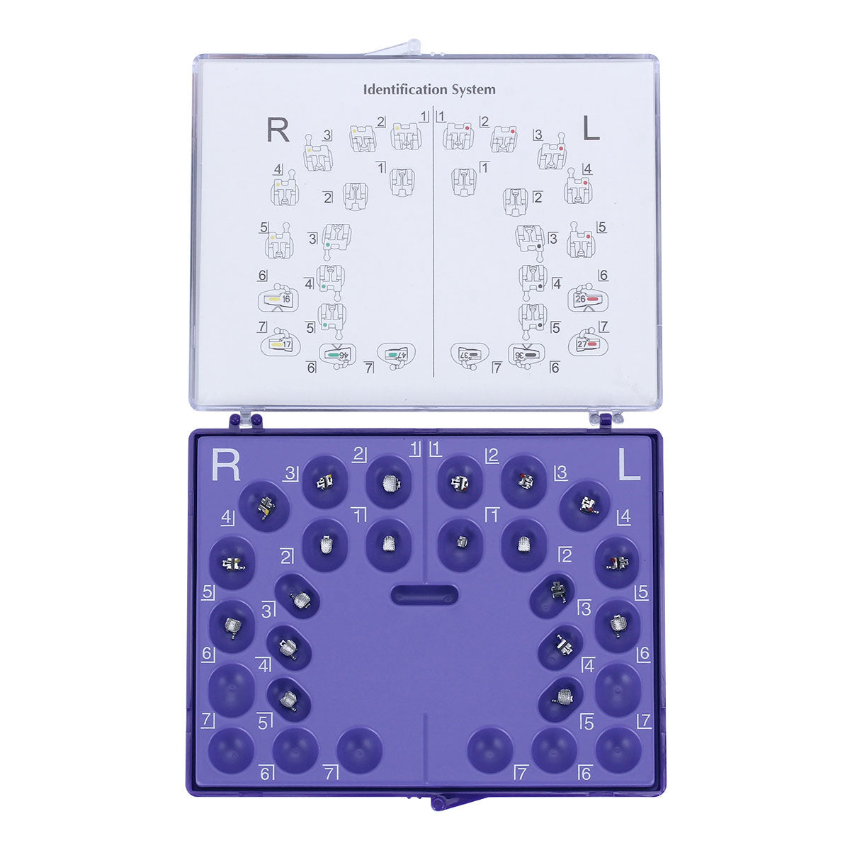 Dental Orthodontic Self Ligating Roth/MBT .022 Hooks On 345 20pcs/Kit - azdentall.com Dental Orthodontic Self Ligating Roth/MBT .022 Hooks On 345 20pcs/Kit - azdentall.com