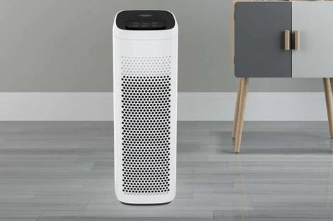 how often should i run my air purifier