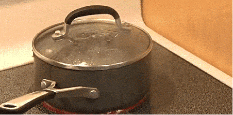 is boiled water the same as distilled water