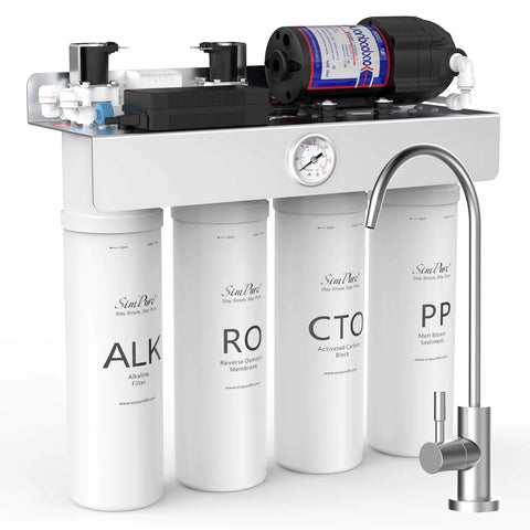 SimPure T1-400 ALK RO system
