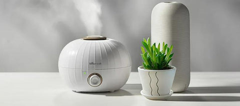 which is better for allergies air purifier or humidifier