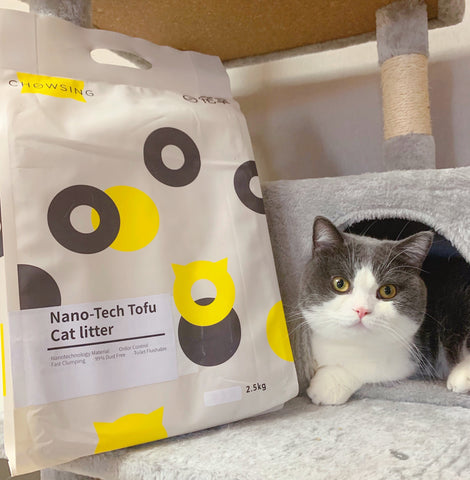 most popular cat litter