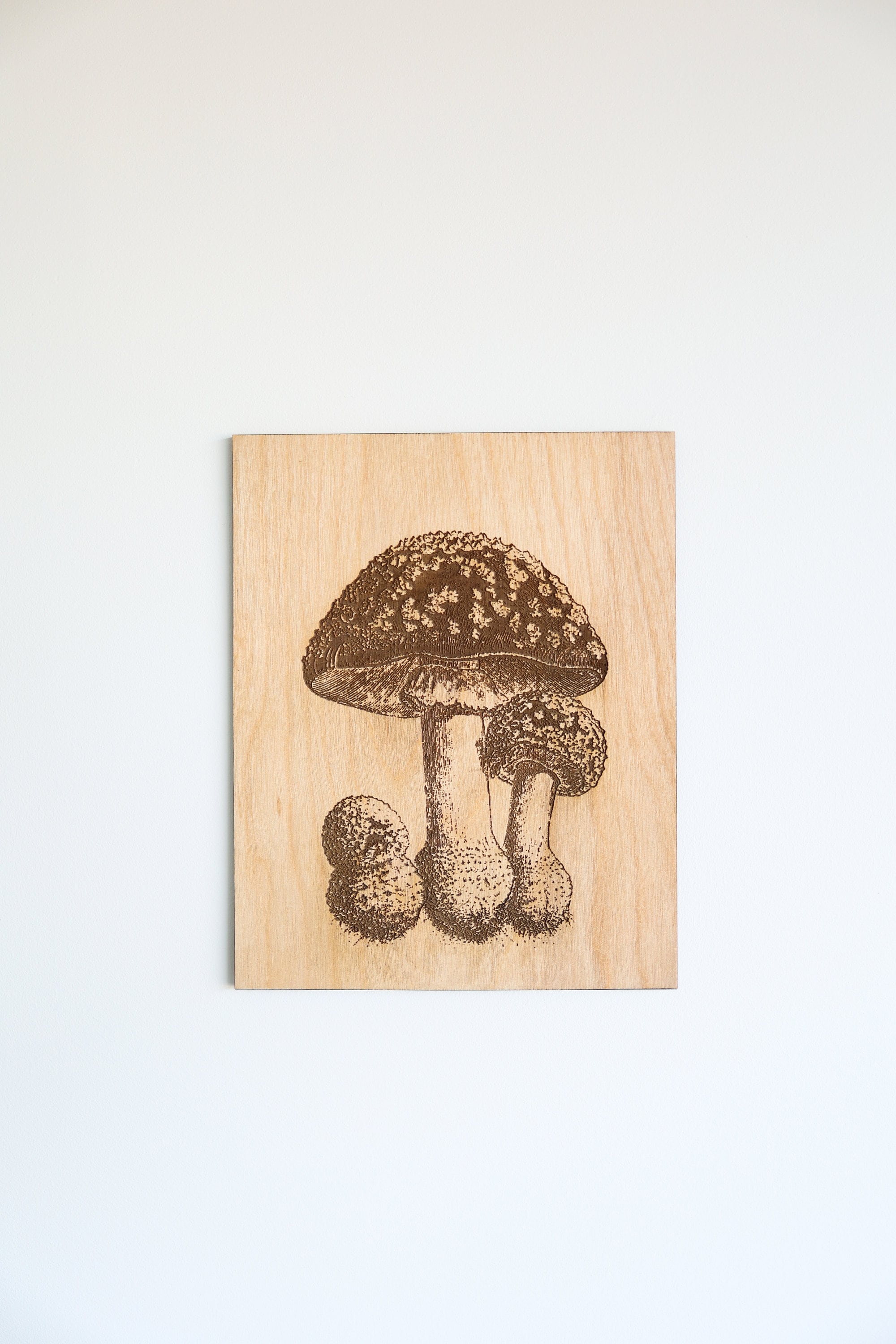 Wooden Mushroom Panel Wall Art