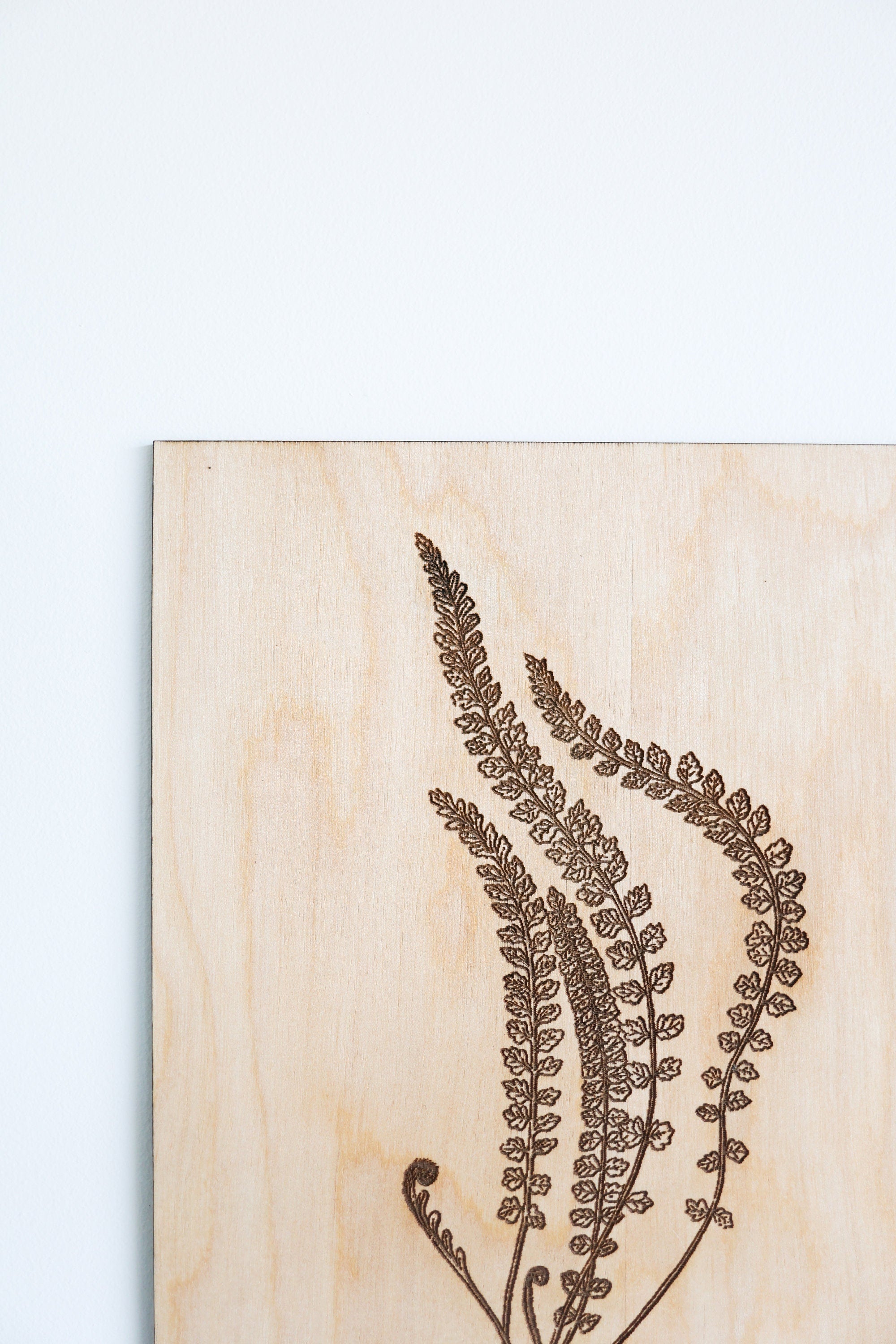 Wooden Fern Fronds Panel Wall Art