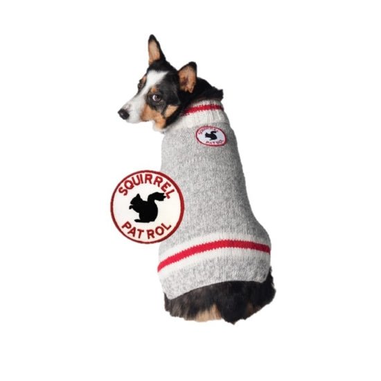 Squirrel Patrol Dog Sweater