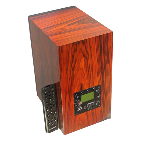 WiFi Internet Radio Bluetooth Main Speaker