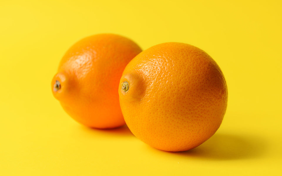 Free vintage lesbian videos Herbert recommends Female models having sex