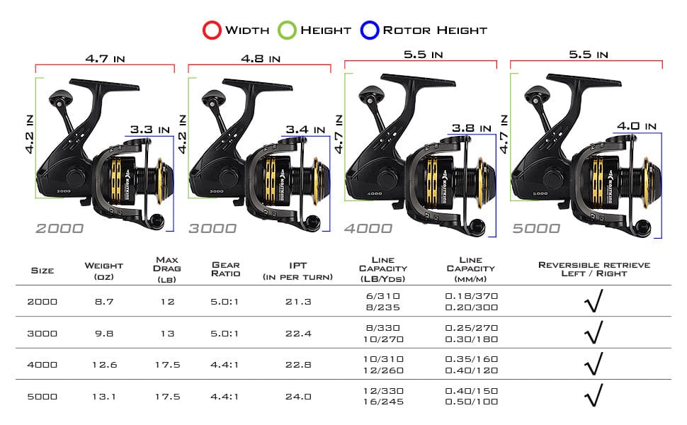 Spinning Reel For Beginner