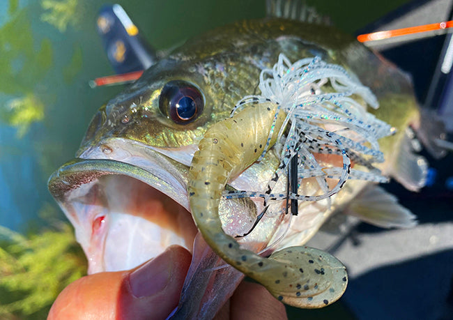 3 Top Lures for Summertime Bass Fishing – KastKing