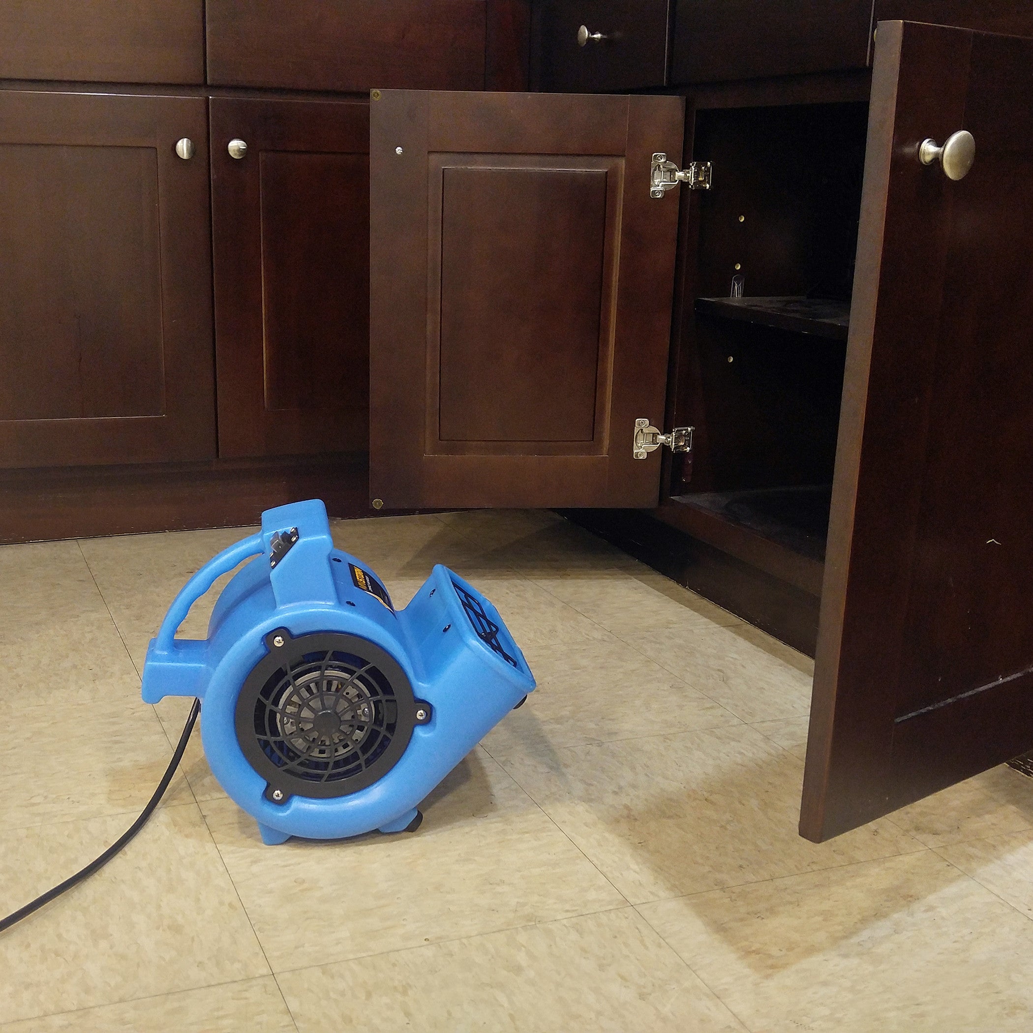 BlueDri Mini Storm 1/12 HP Compact Residential Air Mover & Blower Fan: blue