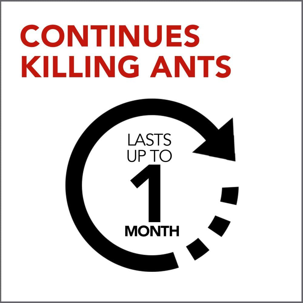 Raid Ant Gel,  Continues Killing for up to 1 Month