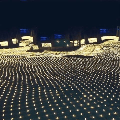 net lights for trees