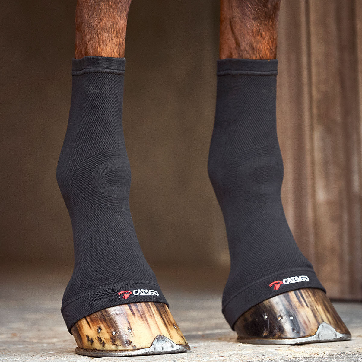 Catago Fir-Tech Fetlock Socks Pair One Size