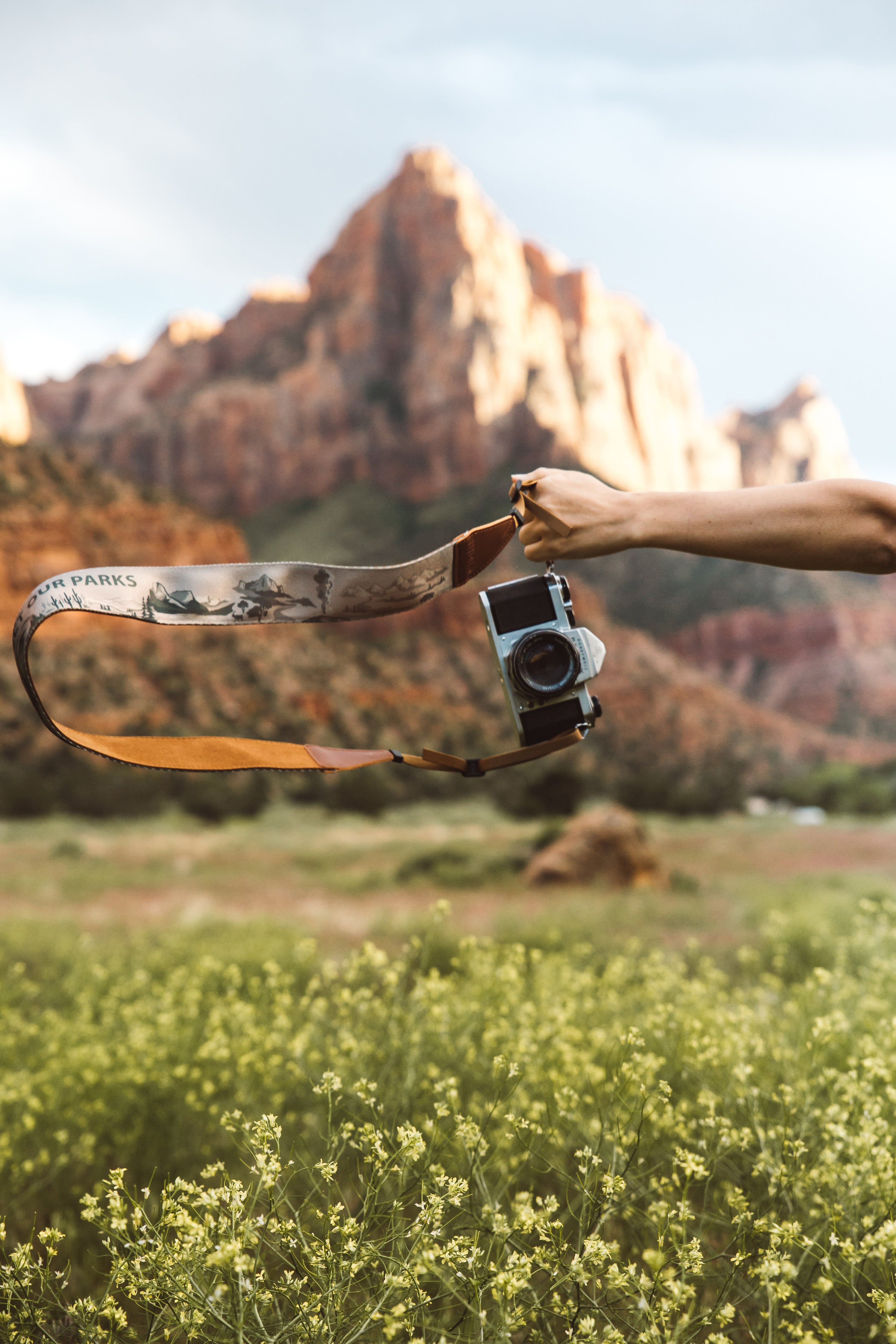 National Park Inspired Camera Strap Brown