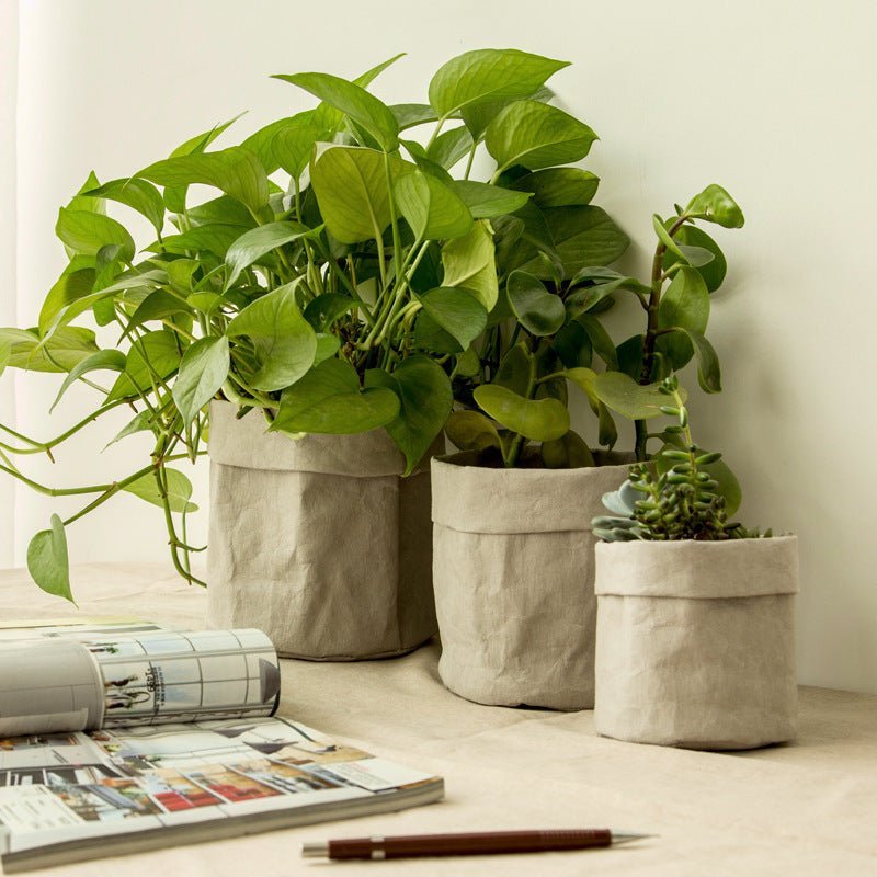 Kraft Paper Planter