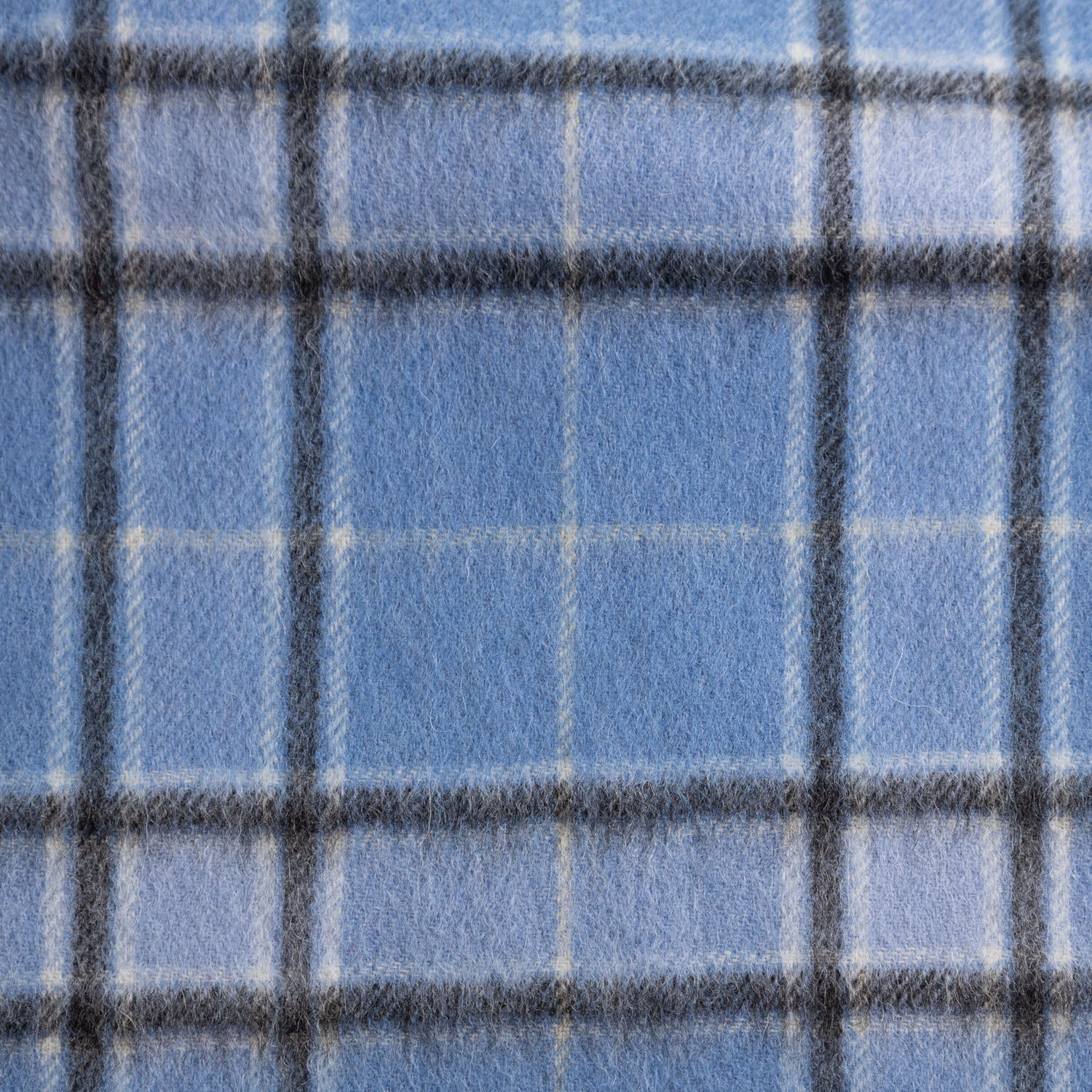 Edinburgh 100% Lambswool Tartan Scarf Baby Blue Check