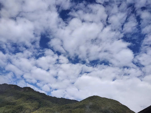 fanny pack, crossbody bag, travel bag, bum bag,waist bag