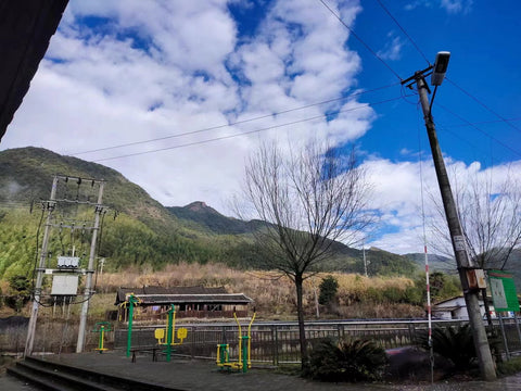 fanny pack, crossbody bag, travel bag, bum bag,waist bag