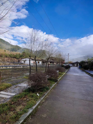 fanny pack, crossbody bag, travel bag, bum bag,waist bag