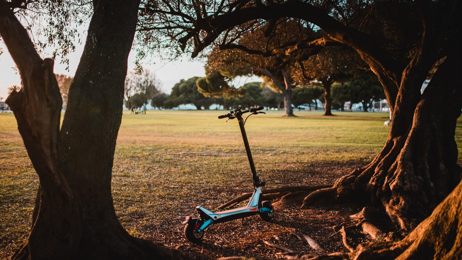 electric scooter