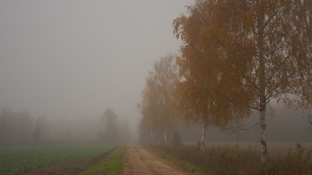 Uneven terrain