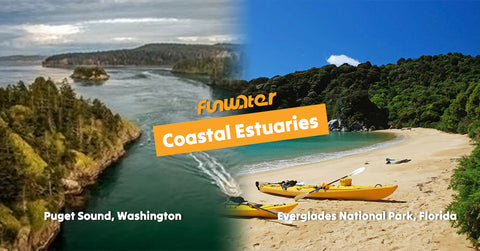 Funwater sit-in kayak could be used in Coastal Estuaries
