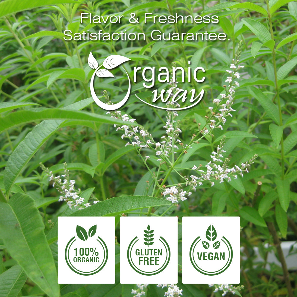 Lemon Verbena (Cut & Sifted), European Wild Harvest