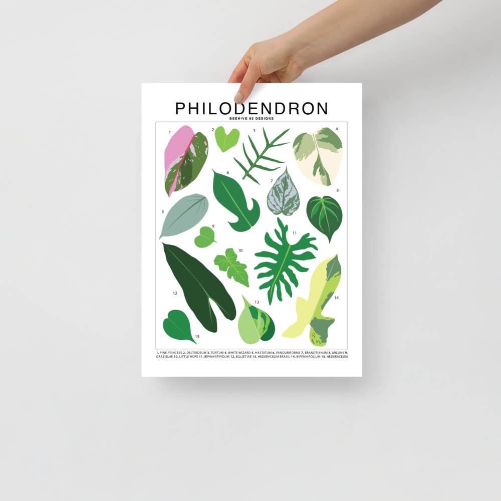 Philodendron Species ID Chart Botanical Houseplant Art Print