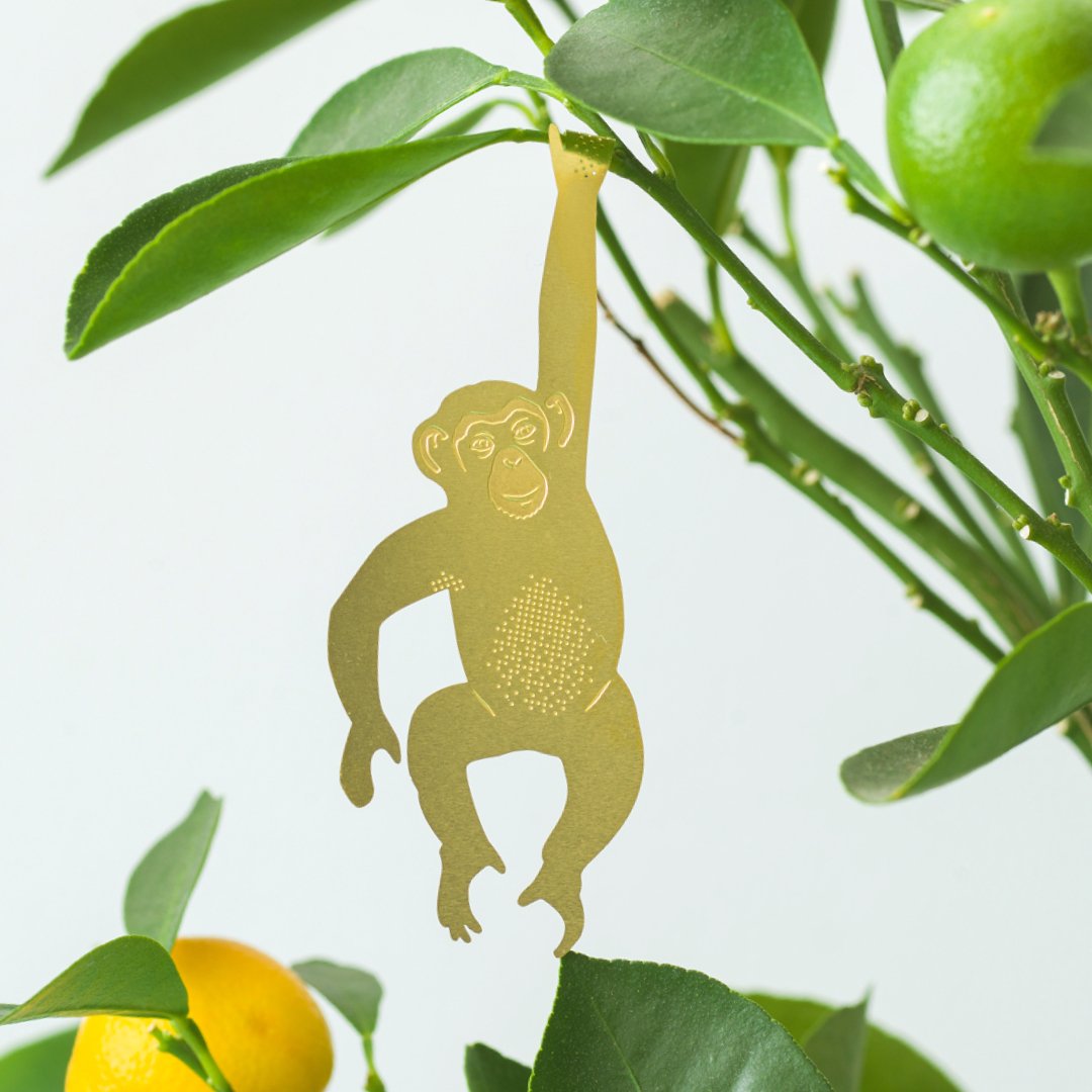 Plant Animal- Plant Decor- Chimpanzee