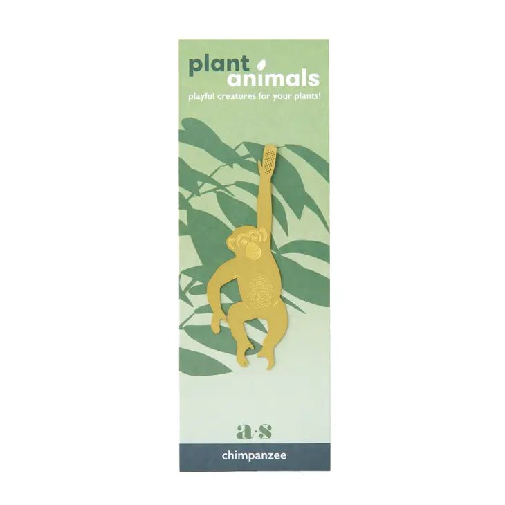 Plant Animal- Plant Decor- Chimpanzee