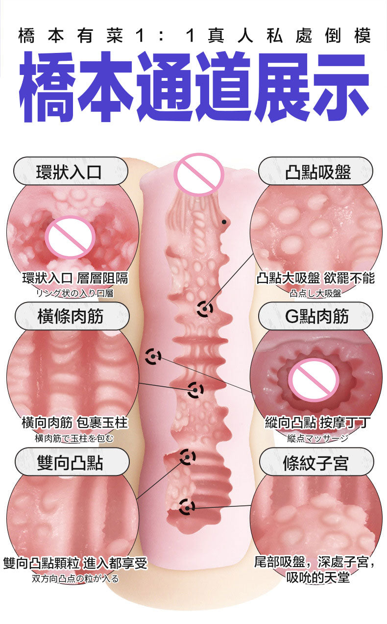 橋本有菜飛機杯通道展示