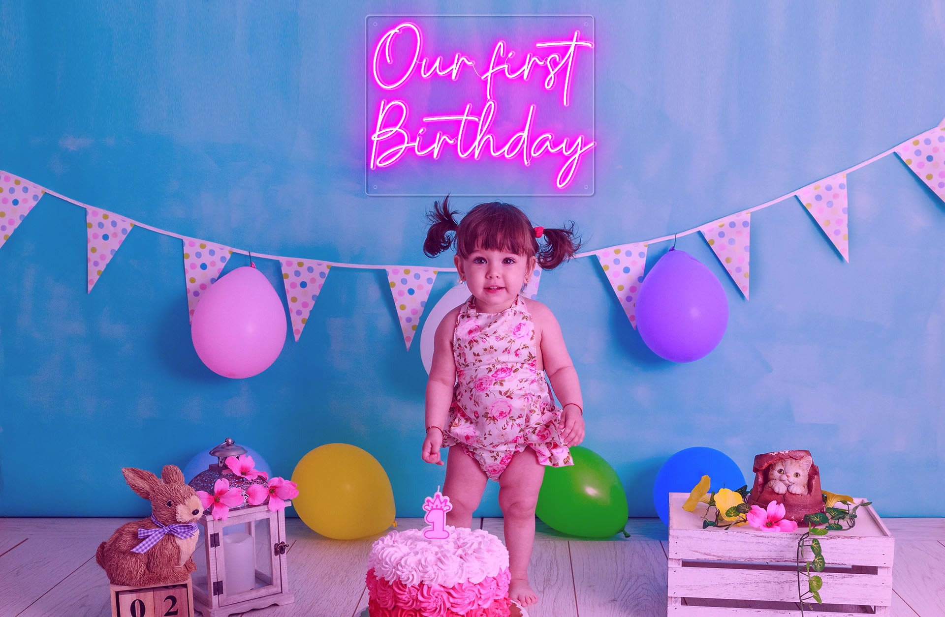 our first birthday neon light