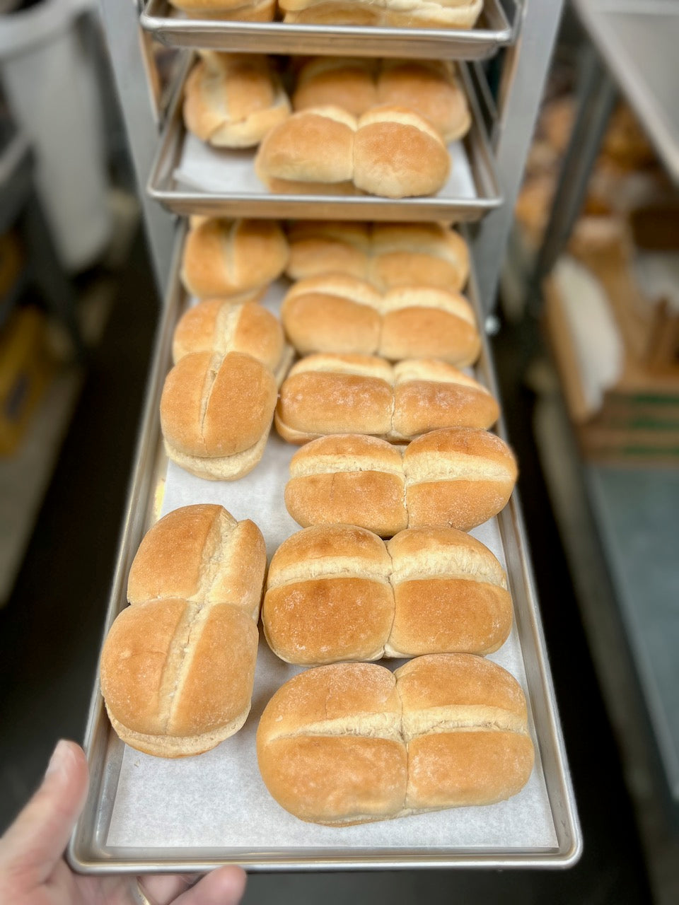 Freeze Dried Fully Cooked Hamburger Buns