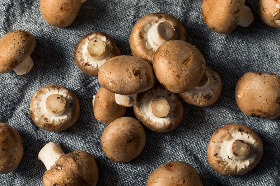 Freeze Dried Sliced Portobellini Mushrooms