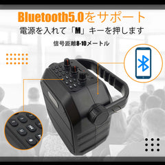 拡声器 マイク1本付きスピーカー アンプ内蔵スピーカー 会議 セミナー イベント街頭 学校行事スピーチ 2本マイク