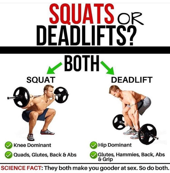 deadlift vs squat