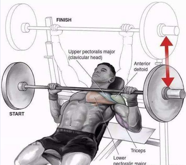 Incline Barbell Press