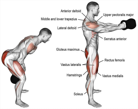 kettlebells muscle worked
