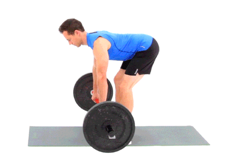 barbell rowing training