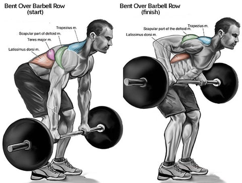 barbell rows bent over