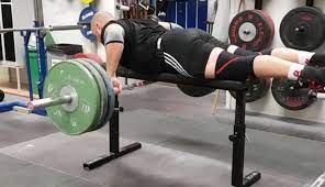 Barbell Seal Row