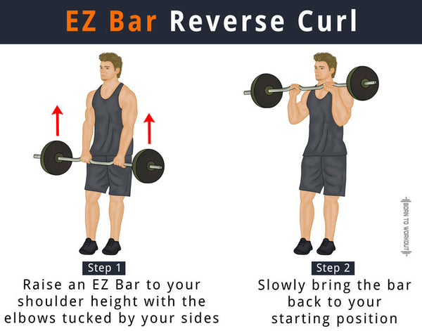 EZ bar Reverse curl