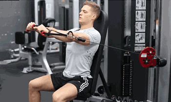 Seated Chest Press Cable