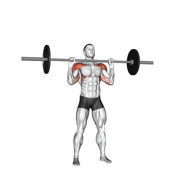 barbell press
